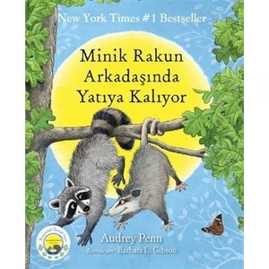 Minik Rakun Arkadaşında Yatıya Kalıyor