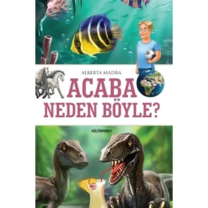 Acaba Neden Böyle?