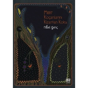 Mısır Koçanlarını Kızartan Koku