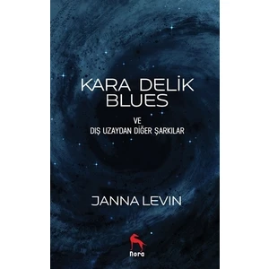 Kara Delik Blues ve Dış Uzaydan Diğer Şarkılar