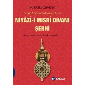 Niyazi-i Mısri Divanı Şerhi