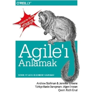 Agile’i Anlamak