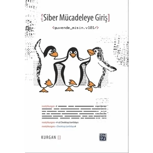 Siber Mücadeleye Giriş