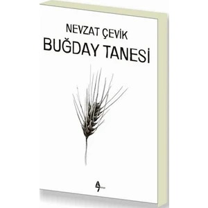 Buğday Tanesi