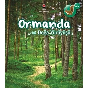 Ormanda Bir Doğa Yürüyüşü