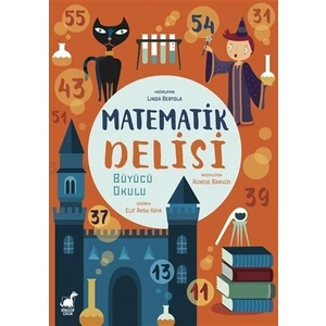 Matematik Delisi