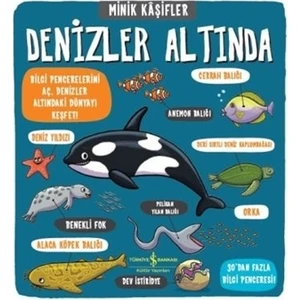 Minik Kaşifler Denizler Altında