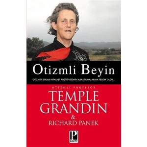 Otizmli Beyin