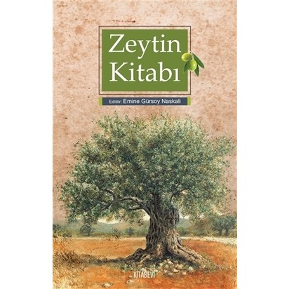 Tekli Tasarim Zeytin Agaci Bonsai