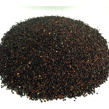 Hardal Tohumu Siyah 100 gr