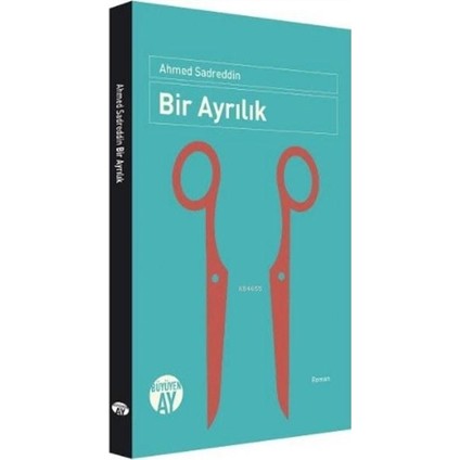 Bir Ayrılık