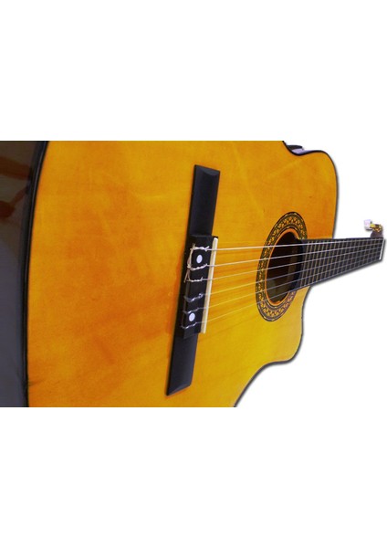 CG-3941 (CG851CE) Ekolayzırlı Klasik Gitar 