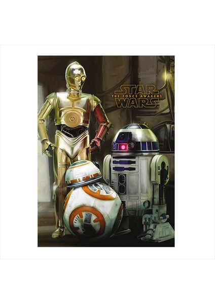 Ahşap Tablo Star Wars The Force Awakens