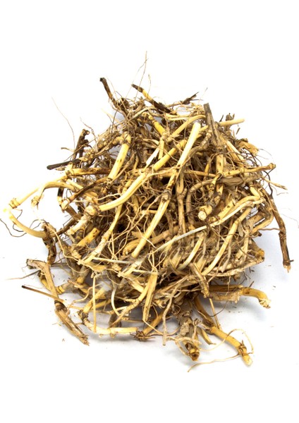 Ayrık Kökü Ayrık Otu (Agropyron Repens) 250 Gr.