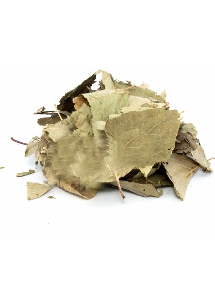 Ayva Yaprağı (Cydonia Vulgaris) 50 Gr.