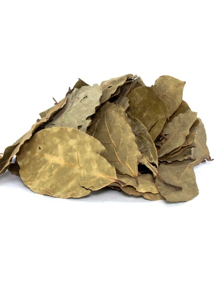 Defne Yaprağı (Laurus Nobilis) 50 Gr.