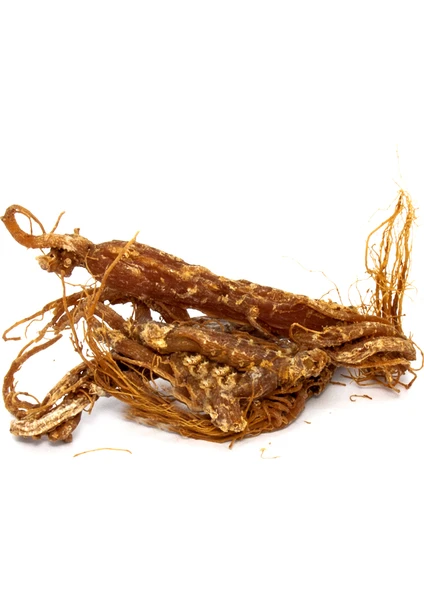 Aktarzane Kırmızı Ginseng Kök 30 Gr