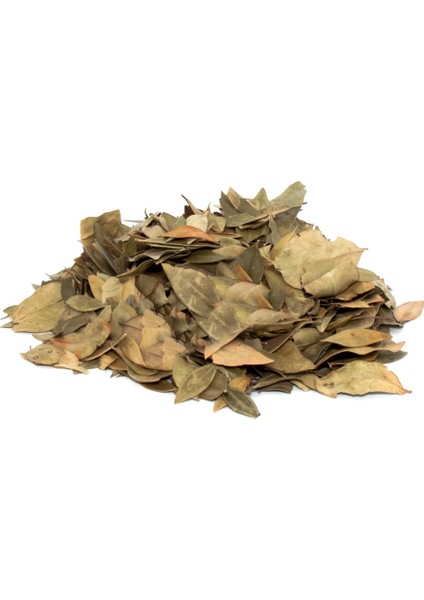 Mersin Yaprağı 100 Gr