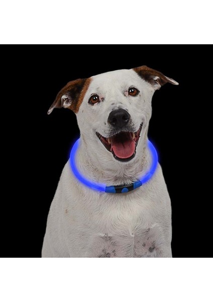 NiteHowl Safety Necklace-Blue LED Işıklı Köpek Güvenlik Kolyesi