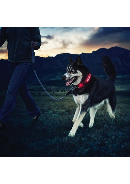 NiteDawg LED Dog Collar-LG-Red LED Işıklı Köpek Tasması