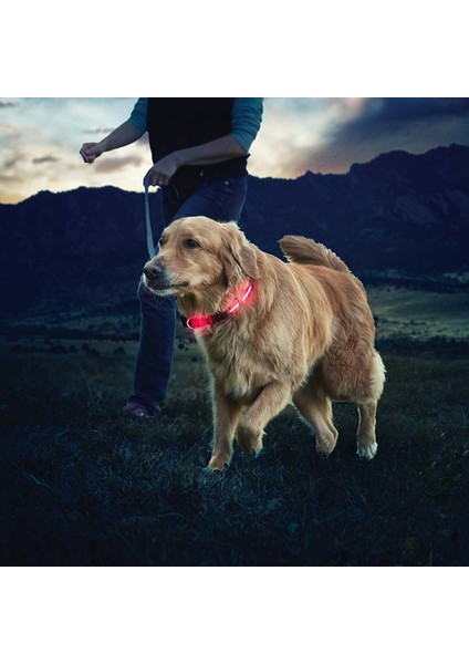 NiteDawg LED Dog Collar-LG-Red LED Işıklı Köpek Tasması