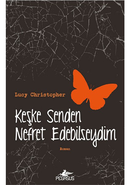 Keşke Senden Nefret Edebilseydim - Lucy Christopher