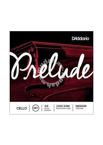 J1010 4/4M Prelude Çello Teli
