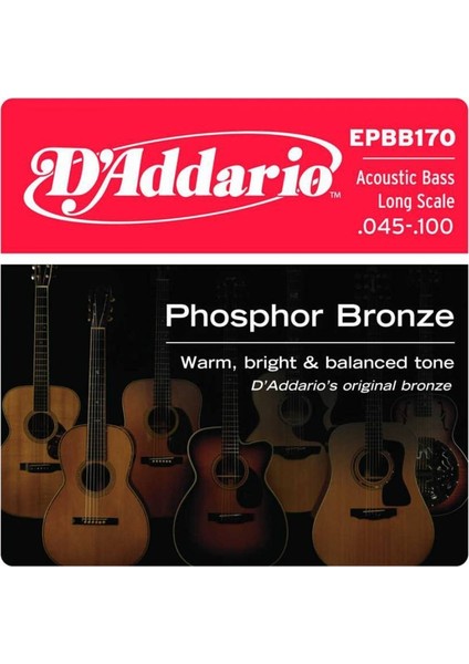 EPBB170 Akustik Bas Gitar Teli (45-100)