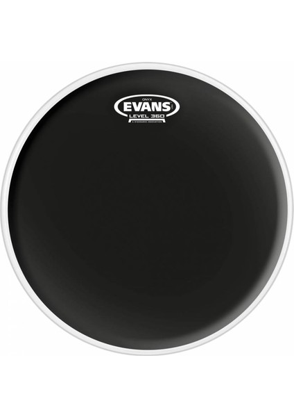 B12ONX2 12 Inc Tom Derisi