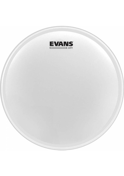 B12UV1 12 Inc Tom Derisi
