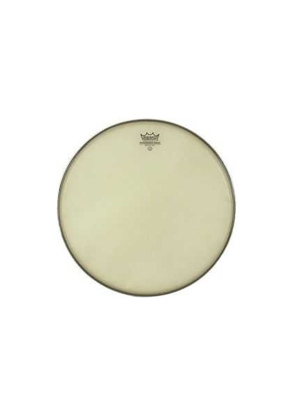 SA-0014-SS- Ambassador® Renaissance® 14 Trampet Alt Derisi