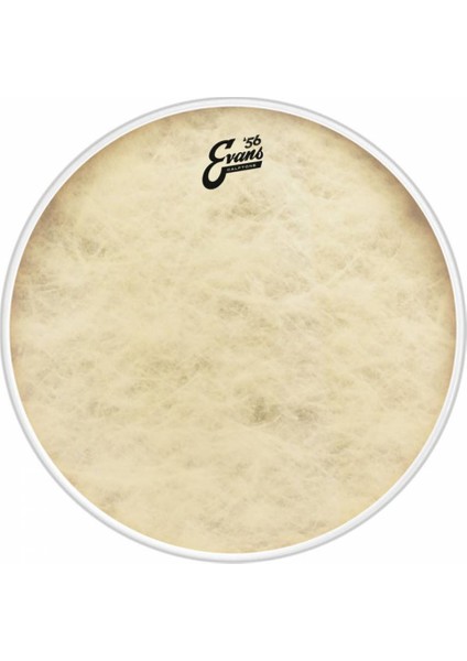 BD20CT 20 Inc Kick Derisi