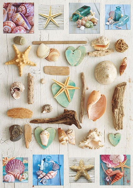 Puzzle 1000 Parça Deniz Kabukları 17658