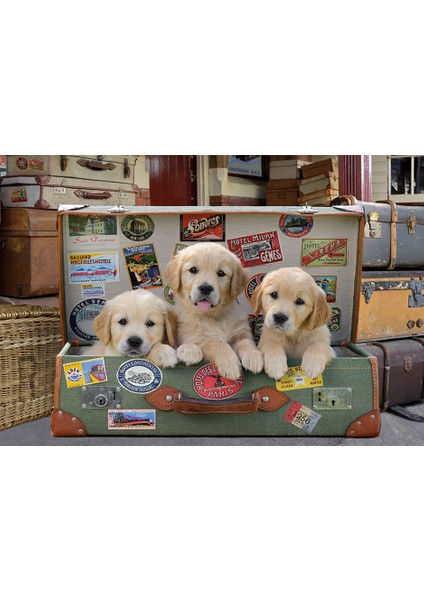 Puzzle 500 Parça Bagajdaki Yavru Köpekler 17645