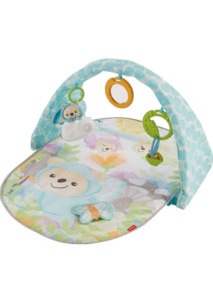 Fisher Price Kelebekli Rüyalar Müzikli Jimnastik Merkezi DYW46