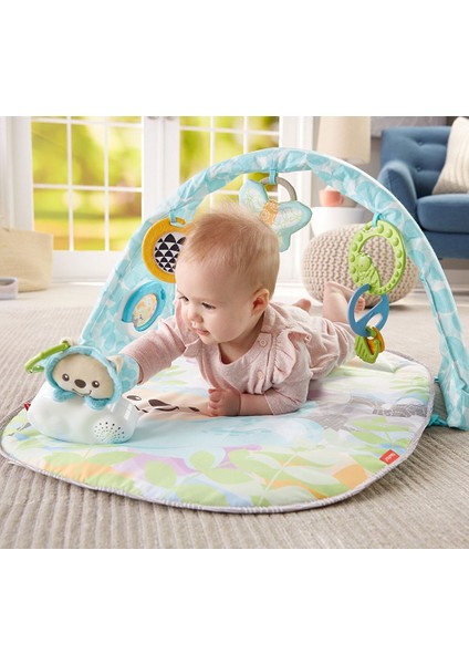 Fisher Price Kelebekli Rüyalar Müzikli Jimnastik Merkezi DYW46