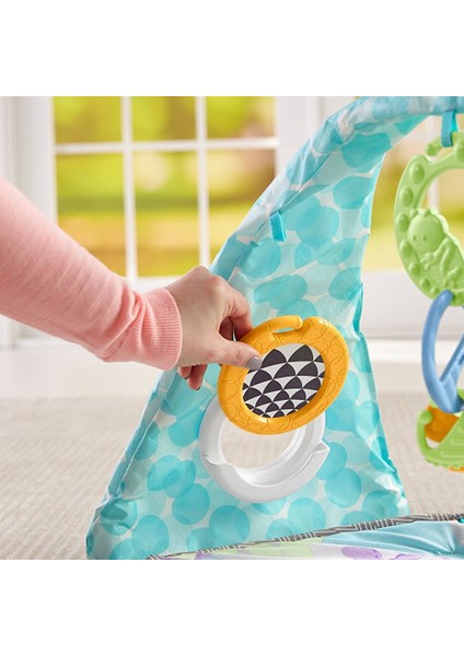 Fisher Price Kelebekli Rüyalar Müzikli Jimnastik Merkezi DYW46