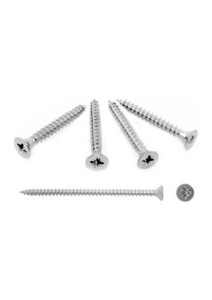 Sunta Vidası 4*50 Mm ( 500 Adet ) (0.5 Binadet)