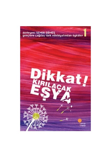 Dikkat! Kırılacak Eşya - Semih Gümüş