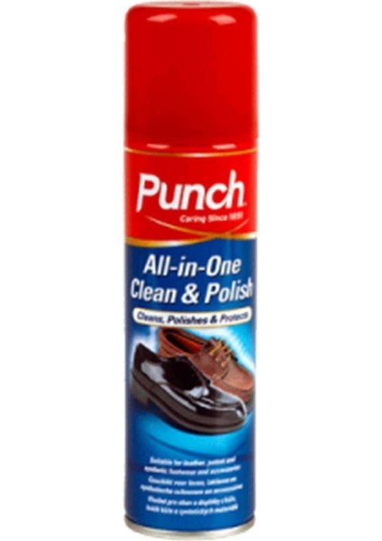 Pegi Temizleyici ve Parlatıcı Ayakkabı Boyası