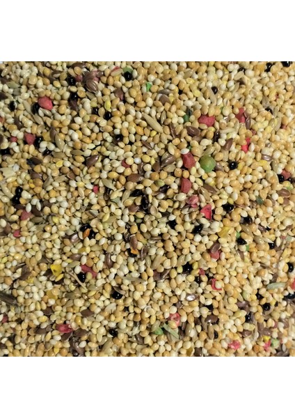 Muhabbet Kuşu Yemi 5Kg fiyatları