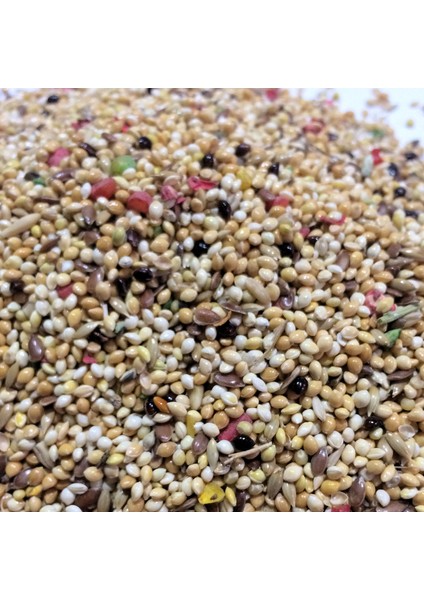 Muhabbet Kuşu Yemi 5Kg modelleri