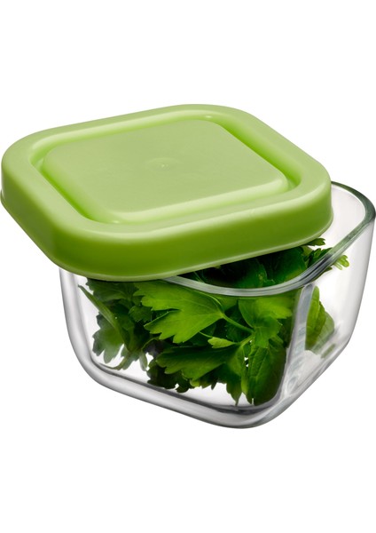 4'Lü Saklama Kabı - Yeşil Kapak