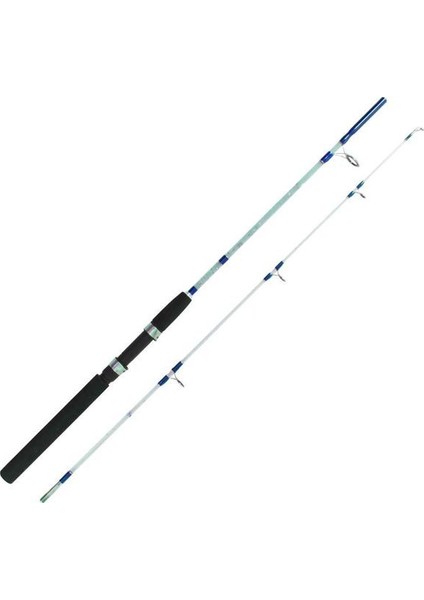 Kamış Dft Pacific Dolgu 20-40Gr 240 cm Mavı