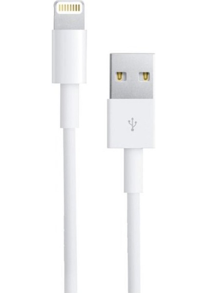 iPad Usb Otg Kablo