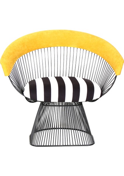 Future Zebra Berjer