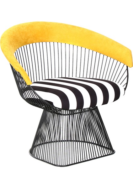 Future Zebra Berjer