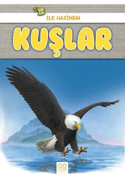 İlk Hazinem:Kuşlar - Denise Ryan