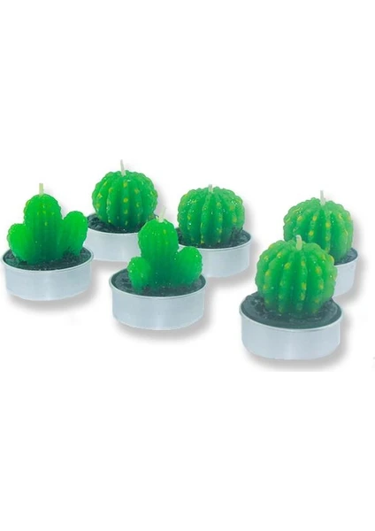 Mutlu Adım 6 Adet Kaktüs Tealight Mum