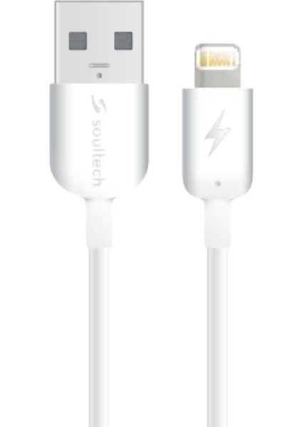 3.1 A Fast 2 Hızlı Araç Şarjı & Lightning Şarj Kablosu